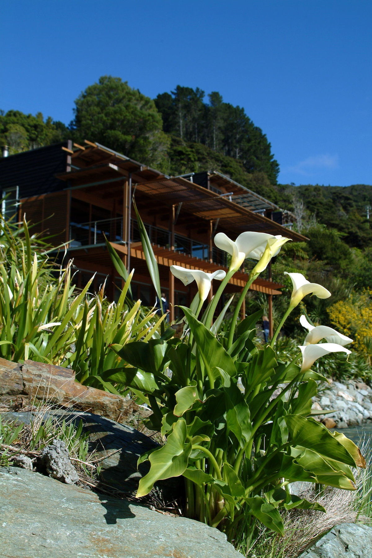 Hotel Bay Of Many Coves Arthur's Bay Exterior foto